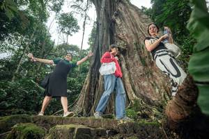 BIB: 
                            <button type="button" onclick="openModal(24810250)" class="btn btn-primary btn-sm float-right btn-popup" data-toggle="modal" data-target=".modal-high-quality">
                        <i class="fas fa-shopping-cart"></i> Add to Cart
                    </button>
                                            <button type="button" onclick="isThisMe(24810250, true)" class="btn btn-success btn-sm float-right btn-popup btn-isme hidden" data-toggle="tooltip" data-placement="bottom" title="นี่คือรูปของคุณใช่ไหม คลิกที่นี่เพื่อเอาเข้าอัลบั้ม">
                        <i class="fas fa-plus"></i> Add to album
                    </button>
                    <button type="button" onclick="isThisMe(24810250, false)" class="btn btn-warning btn-sm float-right btn-popup btn-isnotme hidden">
                        <i class="fas fa-ban"></i> Remove from album
                    </button>